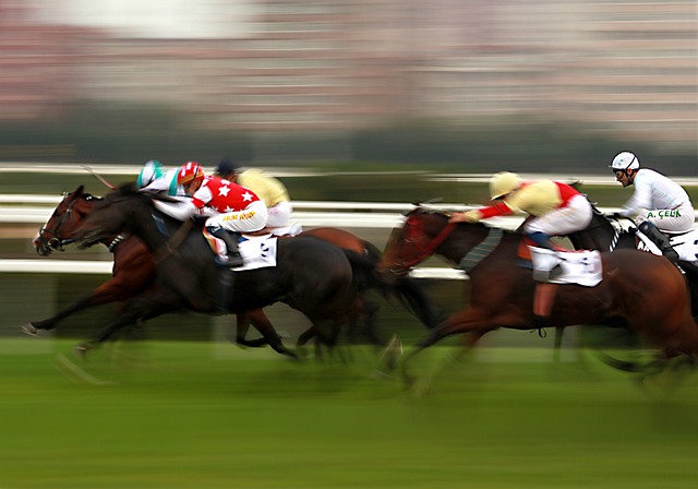 apps for horse racing betting