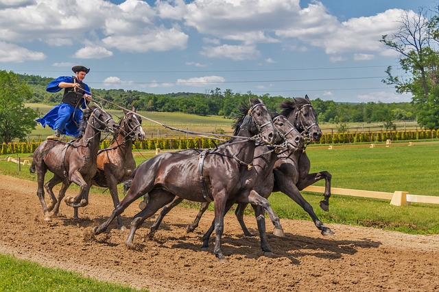 A brief history of horse bet